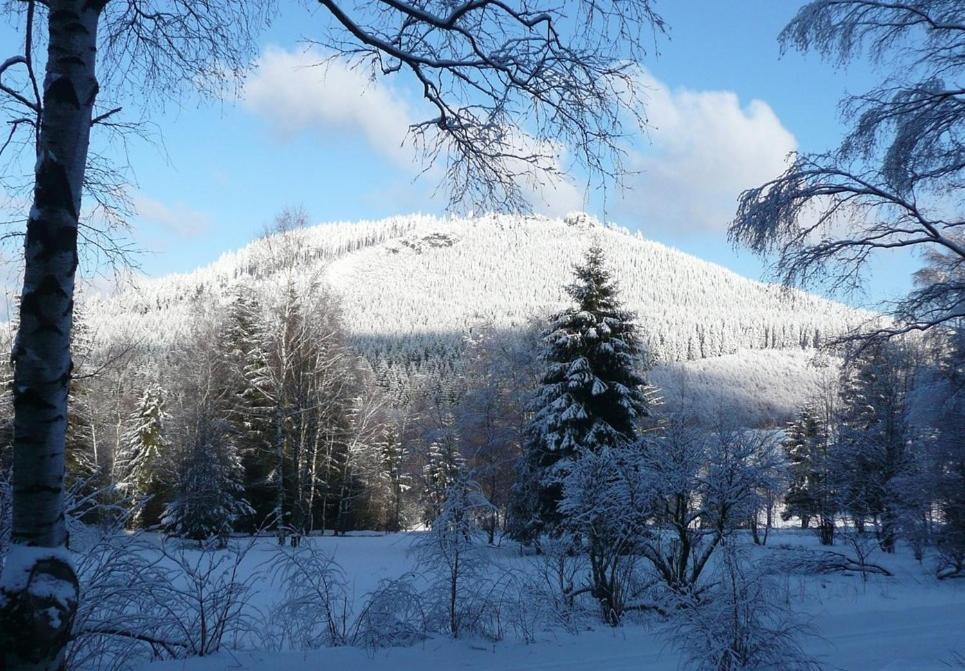 Ferienwohnung Rennsteigblick Viernau Экстерьер фото